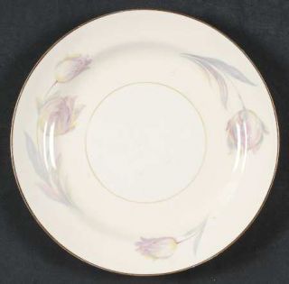 Homer Laughlin  Tulip (Eggshell Nautilus) Salad Plate, Fine China Dinnerware   E