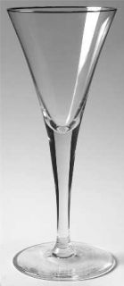 Royal Doulton Fusion Ice Platinum Water Goblet   Clear,Contemporary,Platinum Tri