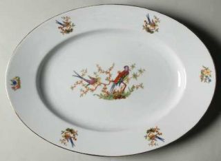 Bohemia Ceramic Eaton, The 13 Oval Serving Platter, Fine China Dinnerware   Bir