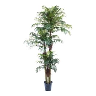 Uv Treated Phoenix Palm Tree Decorative Silk Plant