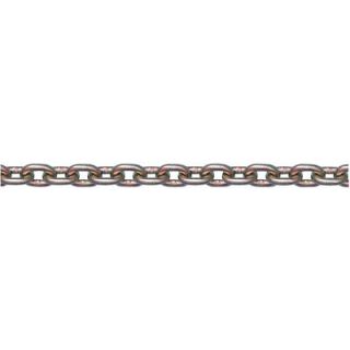 Peerless Grade 70 Transport Chain   3/8in. Trade Size