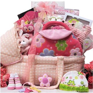 Best Wishes Baby Girl Gift Basket (PinkGender GirlPlush head/neck pillow for travelingHeart brush and combSqueaker rattleBear applique bootiesVinyl lined cotton bibDouble layered super soft plush bumpy blanket measuring 26 inches high x 31 inches wideMus