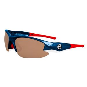 Chicago Cubs Dynasty Sunglasses
