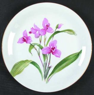 Noritake Ardine Dinner Plate, Fine China Dinnerware   Pink Floral Center,Coupe,G