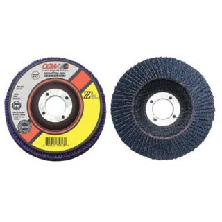 Cgw abrasives Flap Discs   42521