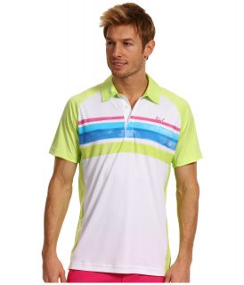 PUMA Golf Watercolor Stripe Polo 13 Mens Short Sleeve Pullover (Green)