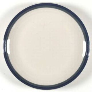 Pfaltzgraff Northwinds Dinner Plate, Fine China Dinnerware   Stoneware, Blue & G