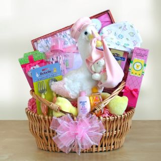 Special Stork Delivery Baby Girl Gift Basket Multicolor   7438