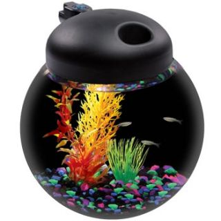 Aquarius LED Light Globe Bowl Aquarium, 1.5 Gallons, 8.9 L X 8.9 W X 9.5 H