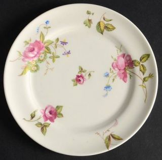 Limoges American Canterbury Bread & Butter Plate, Fine China Dinnerware   Pink R
