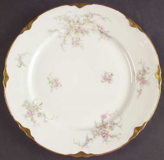 Warwick Avon Rose Dinner Plate, Fine China Dinnerware   Pink/White Florals, Scal