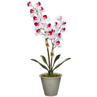 Smith & Hawken Faux White Orchid in Ceramic Pot   16