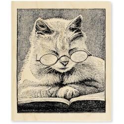 Stampendous V cattus Librum Mounted Rubber Stamp