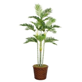 Laura Ashley 73 Tall Palm Tree In 17 Fiberstone Planter