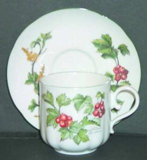 Seltmann Waldbeere Flat Cup & Saucer Set, Fine China Dinnerware   Berries,Flower