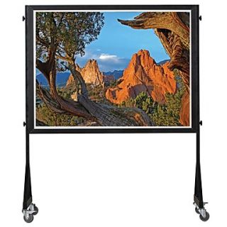 Readleaf 84 Inch 43 Soft Perspective Electric Projection Screen