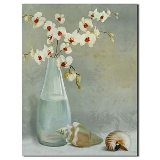Hand Painted Oil Painting Still Life Vase And The Snail with Stretched Frame