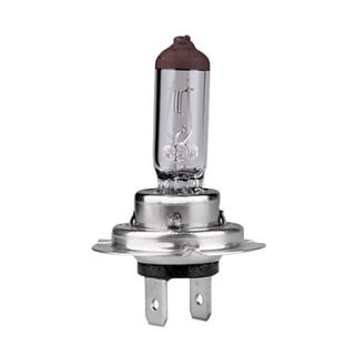 Halogen Headlight Bulb H7 55W