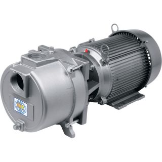 IPT Sprinkler Booster Pump   9480 GPH, 7.5 HP