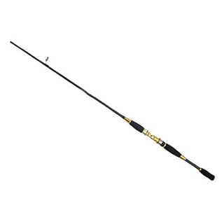 High Quality Carbon Spinning Fishing Rod with Two Actions Tips