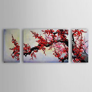 Hand Painted Oil Painting Floral Plum Flowers Set of 3 with Stretched Frame 1307 FL0154
