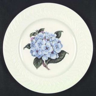 Haviland Regents Park Hydrangea Dinner Plate, Fine China Dinnerware   New York,E