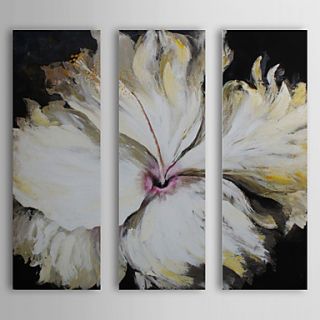 Hand Painted Oil Painting Floral White Petal with Stretched Frame Set of 3 1310 FL1131