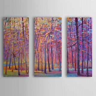Hand Painted Oil Painting Floral Colorful Bamboo with Stretched Frame Set of 3 1311 FL1115