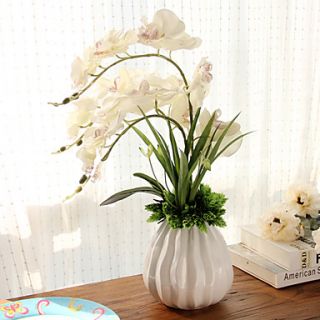 21.25Elegant White Butterfly Orchid With White Ceramic Vase