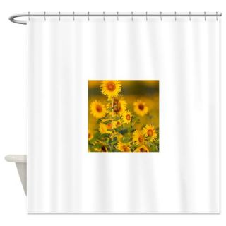  Fields of sunflowers in the early m Shower Curtain  Use code FREECART at Checkout