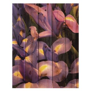 Gizaun Art French Iris Indoor/Outdoor Full Color Cedar Wall Art Multicolor  