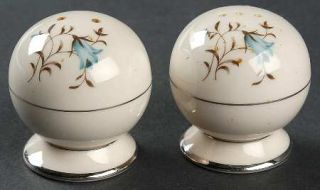 Flintridge Belnor Salt & Pepper Set, Fine China Dinnerware   Blue Flowers,Gray L