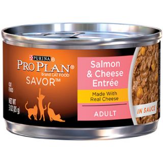 Savor Salmon & Cheese Adult Canned Cat Food in Sauce, 3 oz.