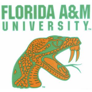 Florida A&M Rattlers Rico Industries Static Cling Decal