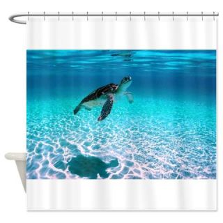  juvenile turtle at Seven Mile Beach   large poster  Use code FREECART at Checkout