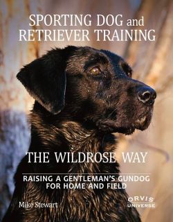 Sporting Dog And Retriever Training The Wildrose Way