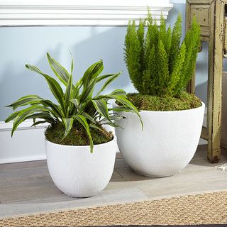 Resin Woodgrain Planter Pots