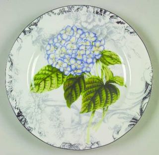 American Atelier Hydrangea Toile Salad Plate, Fine China Dinnerware   Floral On