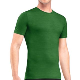 Icebreaker Anatomica T Shirt   UPF 30+  Merino Wool  Short Sleeve (For Men)   CRICKET (XL )