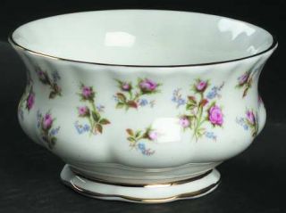 Royal Albert Winsome (White Background) Open Sugar Bowl, Fine China Dinnerware  