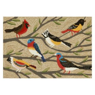 Trans Ocean Frontporch Birds Indoor / Outdoor Doormat Multicolor   FTP34144044,