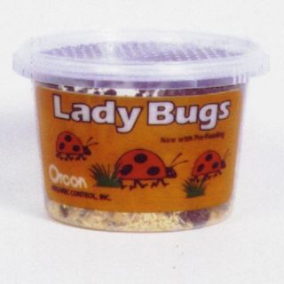 Orcon Live Ladybugs Multicolor   LB C1500