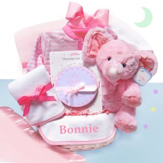 Minky Dots Pink Baby Gift Basket Personalized   MSPPGB