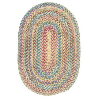 Colonial Mills Botanical Isle Chenille Braided Area Rug   Sand Multicolor  