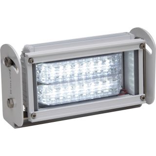 Whelen Pioneer Series 12 Volt LED Floodlight   Clear, Rectangle, 5 3/8 Inch x 8