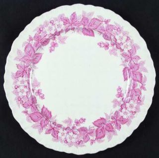 Wedgwood Bramble Pink (Shell Edge) Dinner Plate, Fine China Dinnerware   Shell E