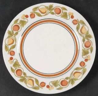 Franciscan Pickwick Bread & Butter Plate, Fine China Dinnerware   Fruit, Vine Bo