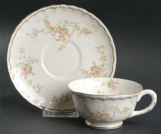 Pope Gosser Princess Footed Cup & Saucer Set, Fine China Dinnerware   Pink Rose