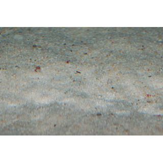 Live Sand   South Pacific (20 lbs)