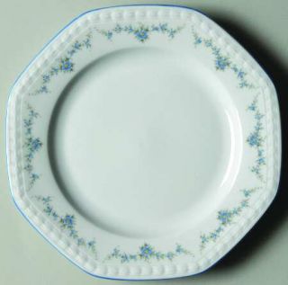 Seltmann Slt369 Salad Plate, Fine China Dinnerware   Embossed Border, Blue Flora
